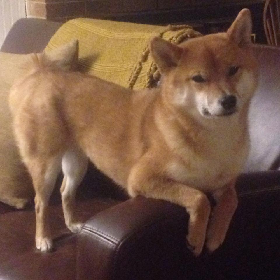 文班亚马,唯一的定义者与唯一的表演