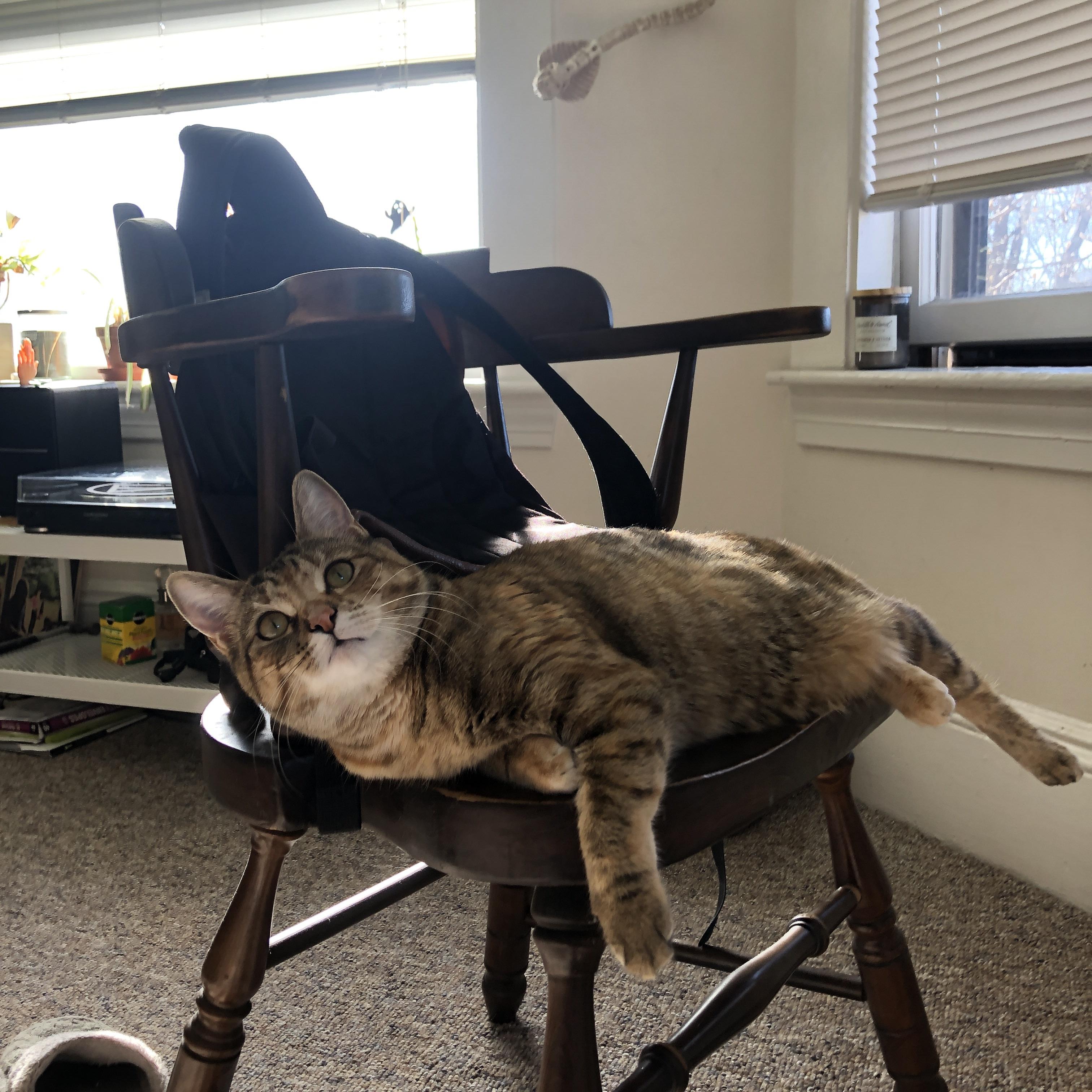 火力全开！瑞典碾压卡塔尔，马丁内利一手掌控比赛走势