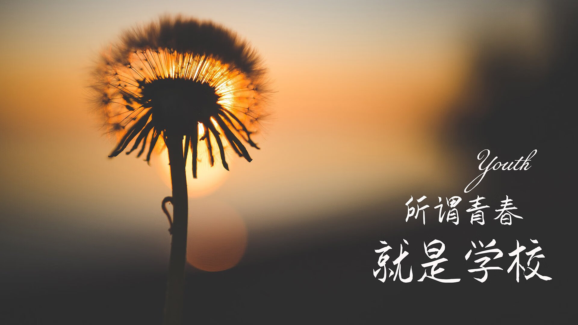 冷夜中的红白闪电,2026世界杯E组,瑞士绝杀阿根廷,萨卡封神之夜与钢铁防线的极致美学